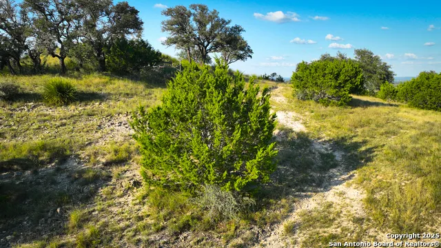FAR HILLS RANCH Tract 3 Comfort, TX 78013