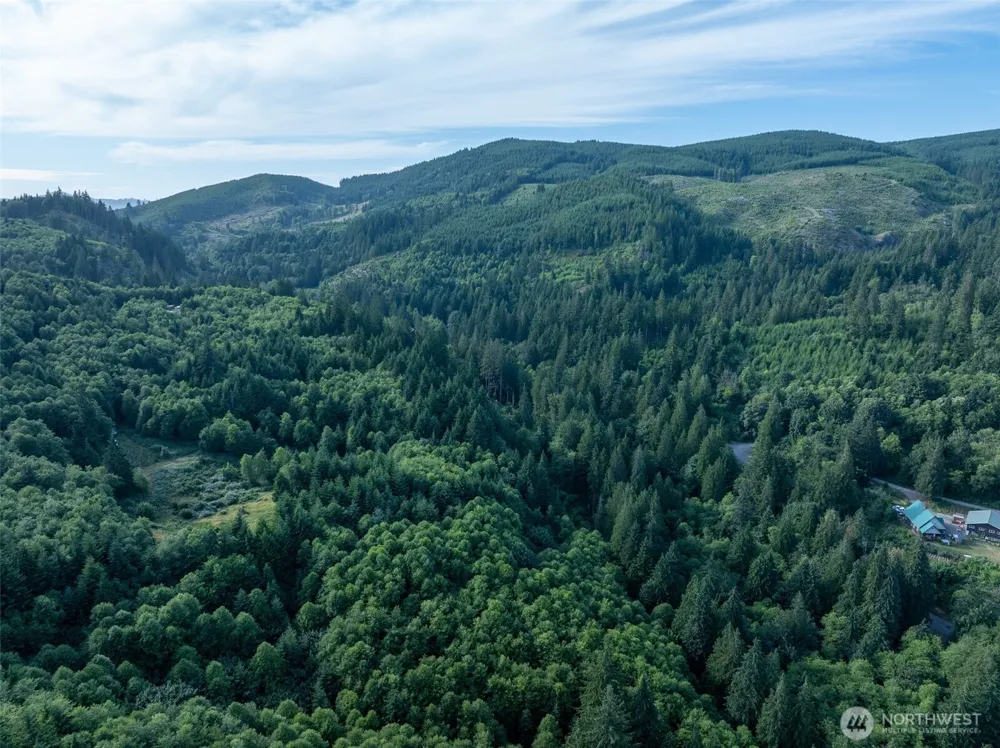 0 Dubios Road Ariel, WA 98603