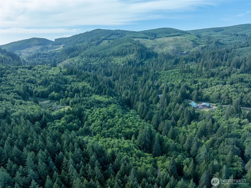 0 Dubios Road Ariel, WA 98603