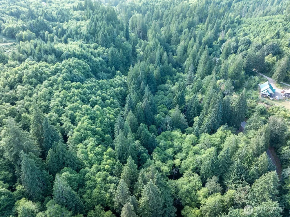 0 Dubios Road Ariel, WA 98603