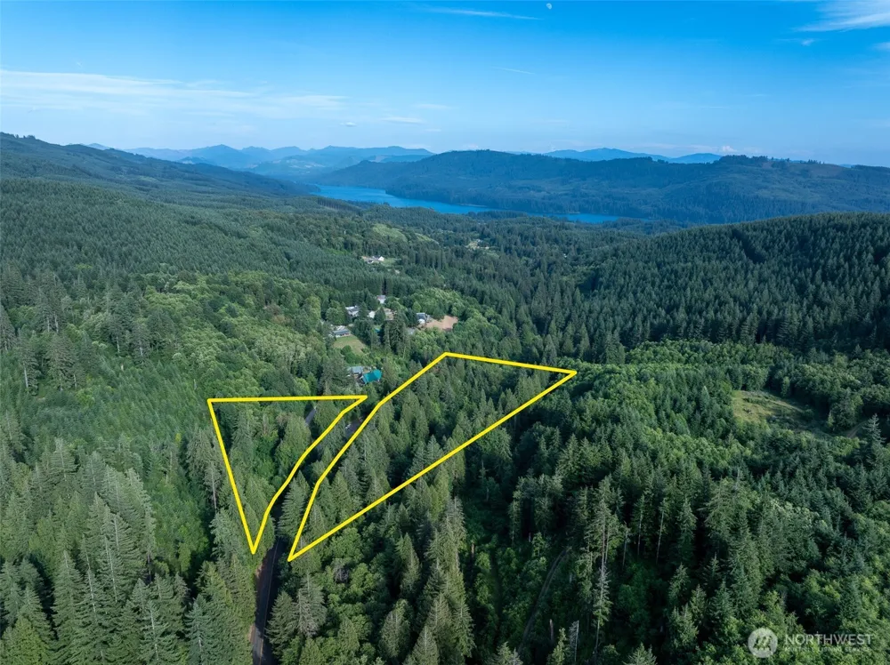 0 Dubios Road Ariel, WA 98603