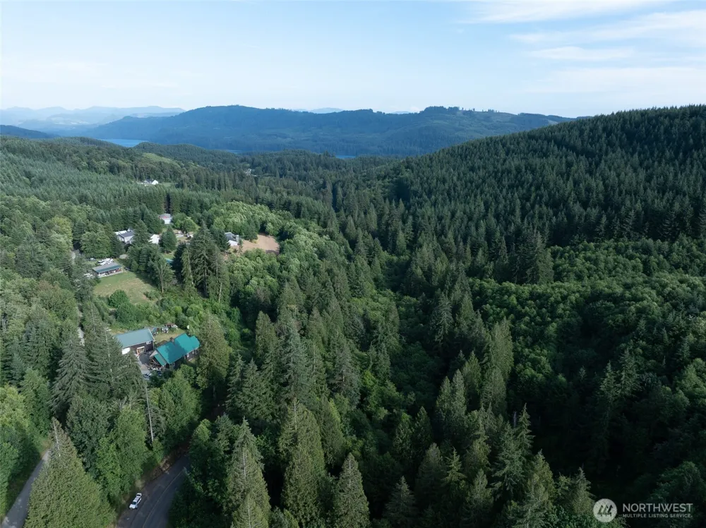 0 Dubios Road Ariel, WA 98603