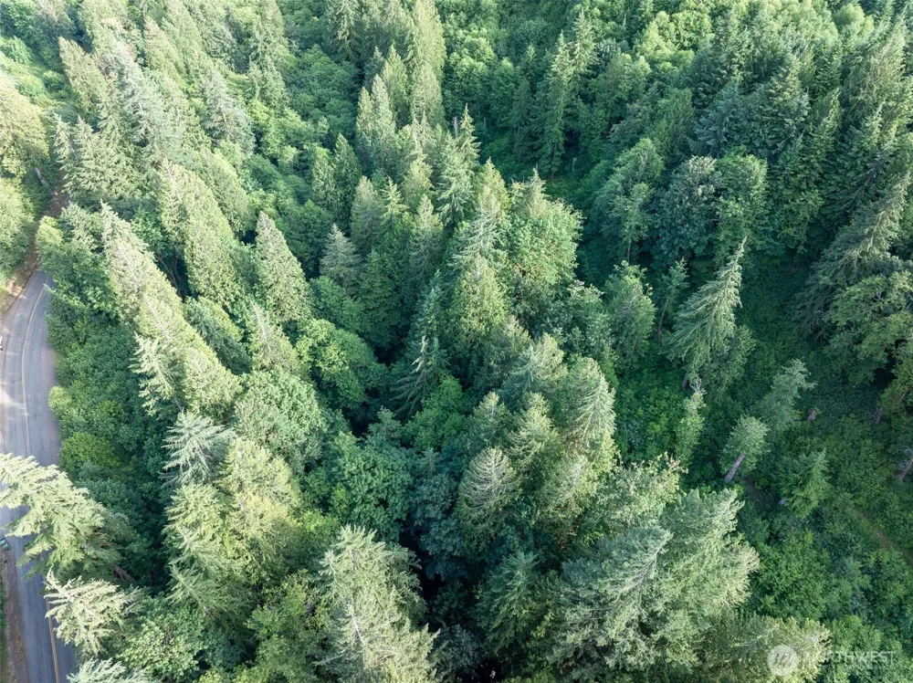 0 Dubios Road Ariel, WA 98603