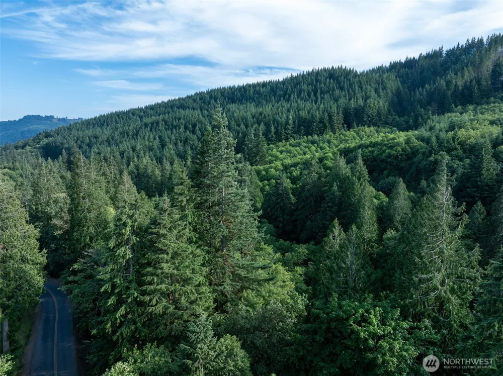 0 Dubios Road Ariel, WA 98603