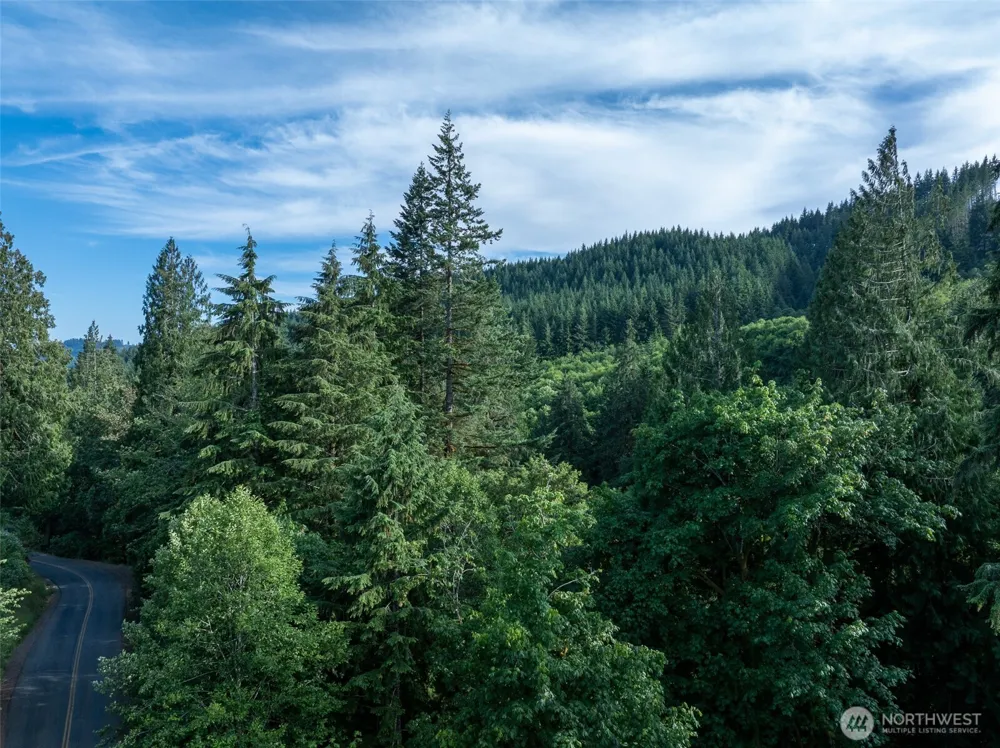 0 Dubios Road Ariel, WA 98603