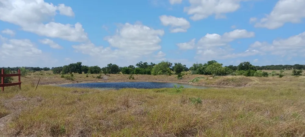 6787 Fm 2657 Highway Briggs, TX 78608