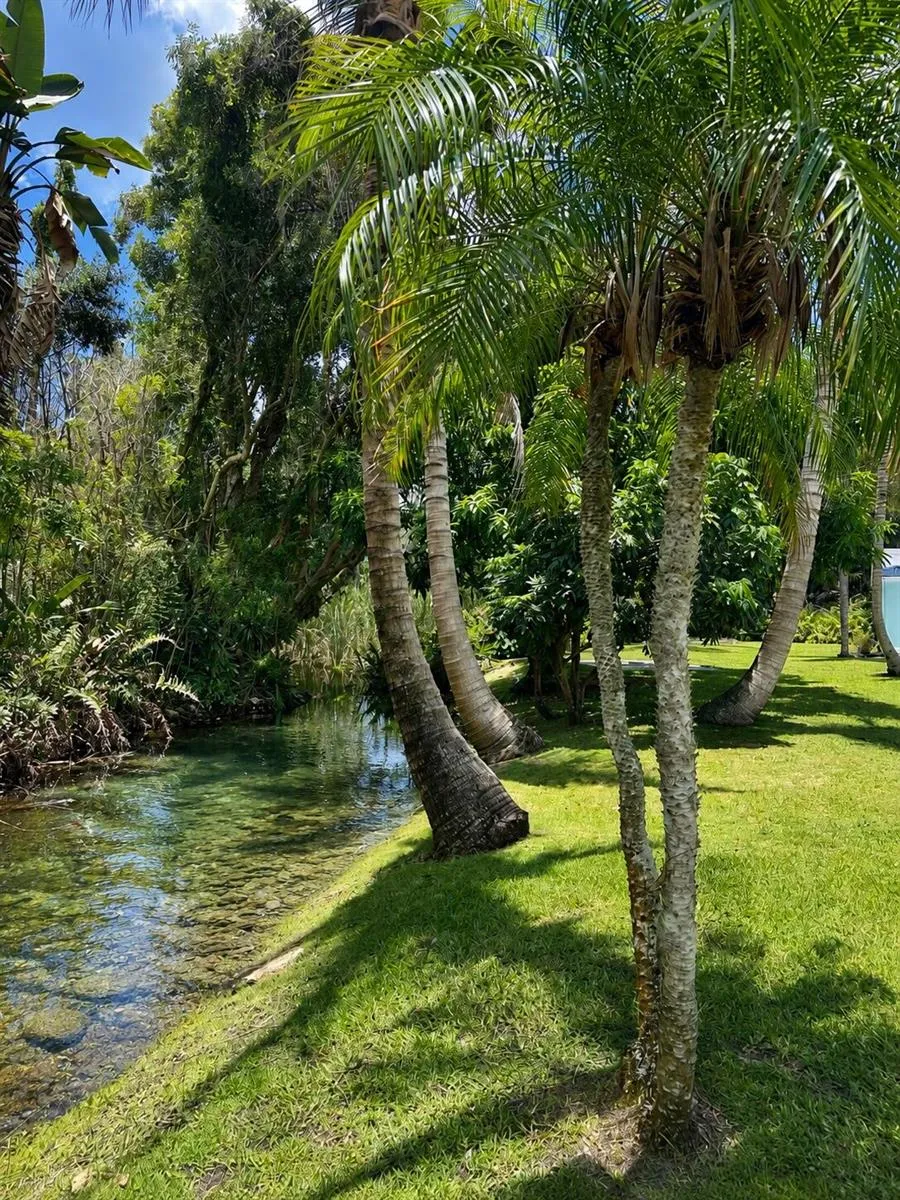 450 28th Court Vero Beach, FL 32968