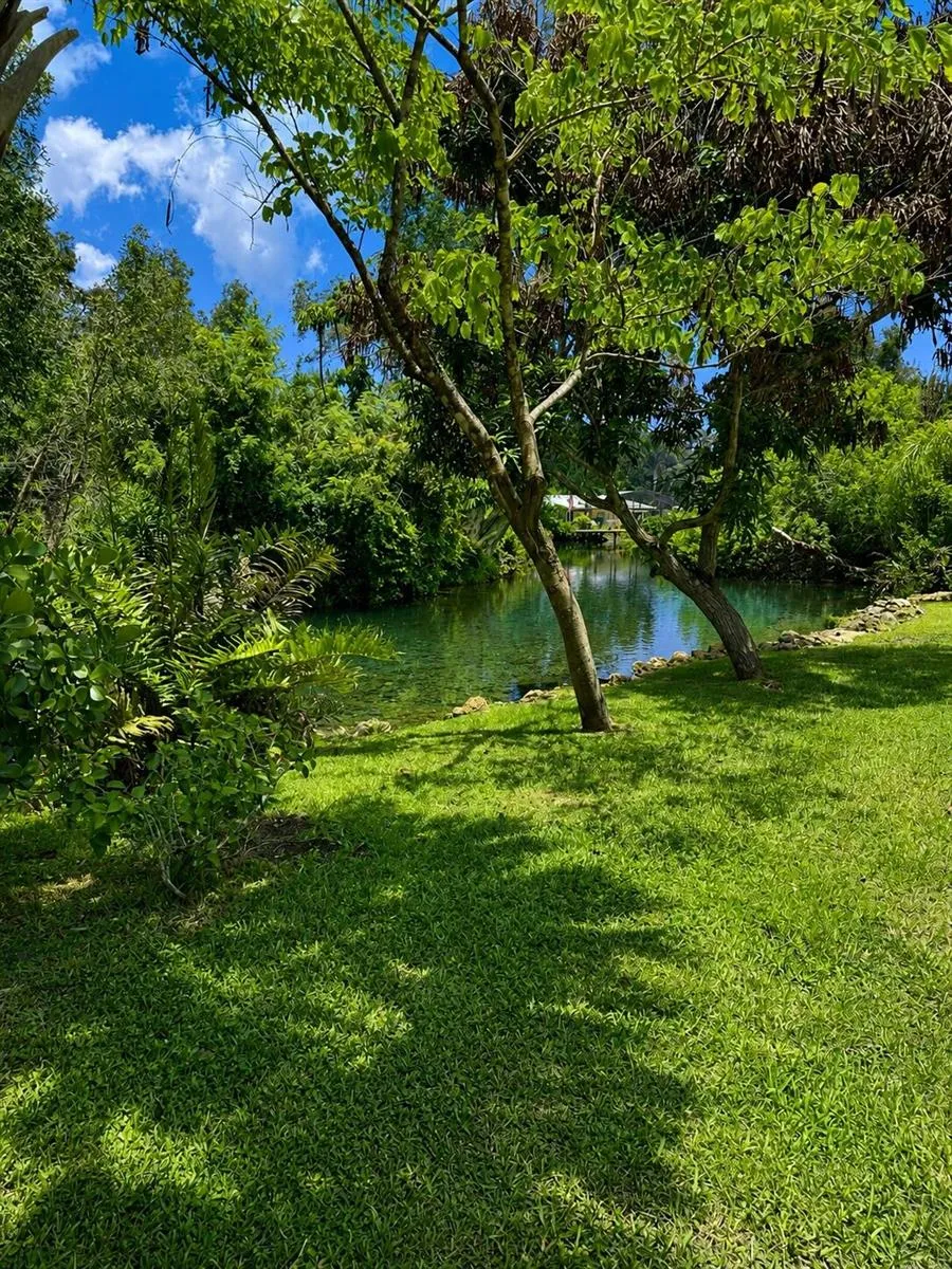450 28th Court Vero Beach, FL 32968