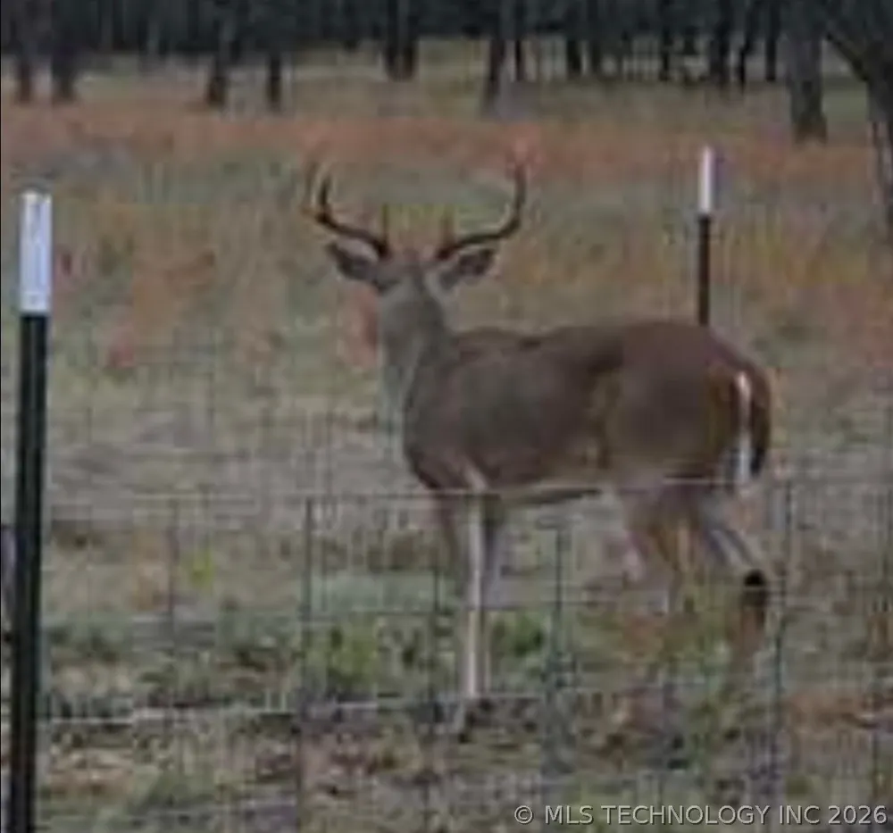 12777 Boggy Depot Coleman, OK 73432