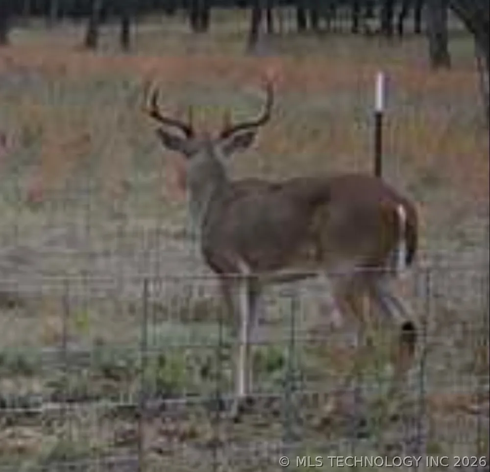 12777 Boggy Depot Coleman, OK 73432