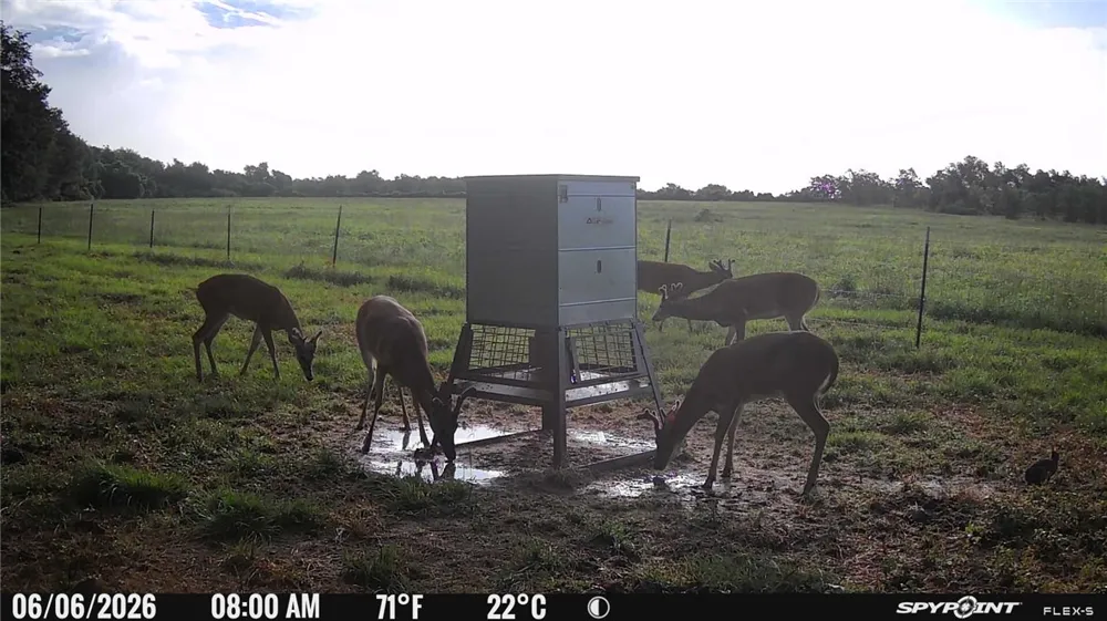 CR 268 (Lot 3) Cameron, TX 76520