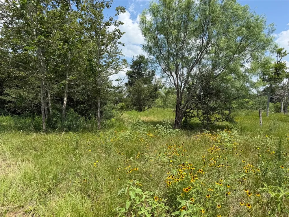 CR 268 (Lot 3) Cameron, TX 76520