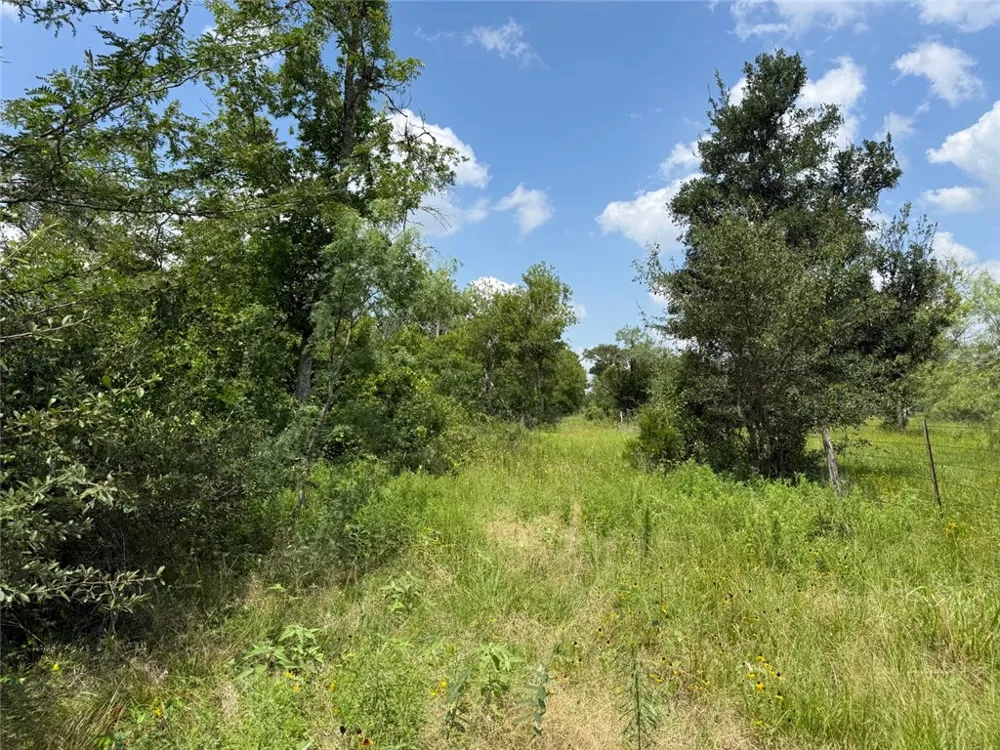 CR 268 (Lot 3) Cameron, TX 76520