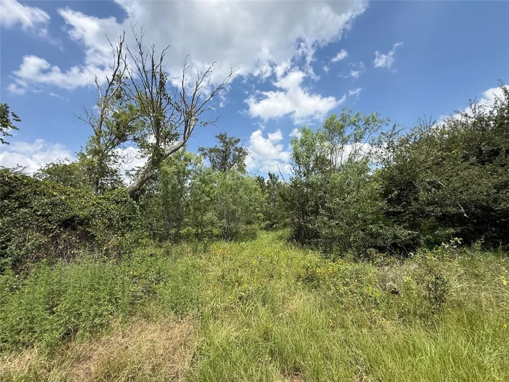 CR 268 (Lot 3) Cameron, TX 76520
