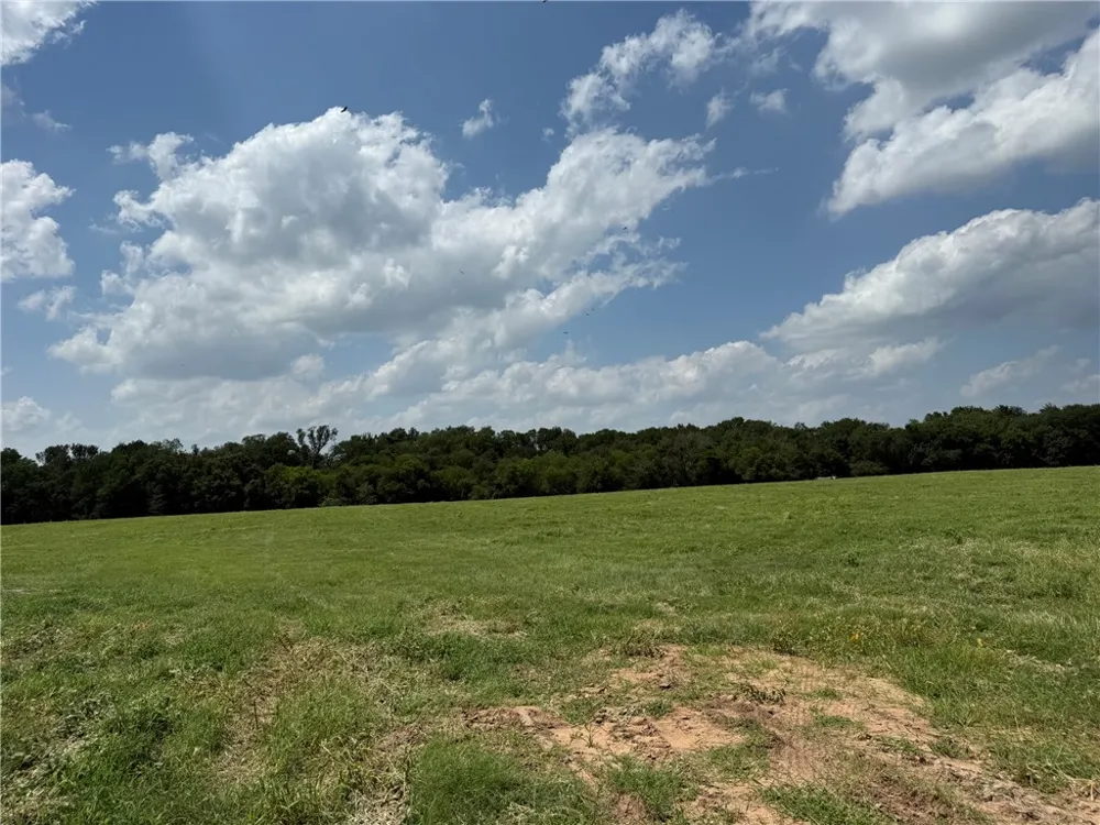 5409 FM 979 (Lot 1) Cameron, TX 76520