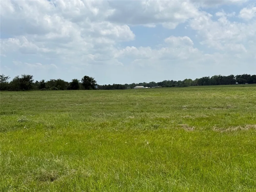 5409 FM 979 (Lot 1) Cameron, TX 76520