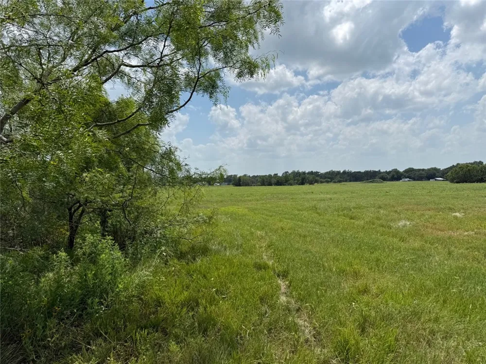 5409 FM 979 (Lot 1) Cameron, TX 76520