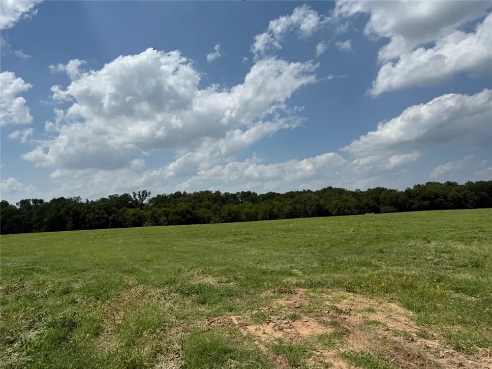 5409 FM 979 (Lot 1) Cameron, TX 76520