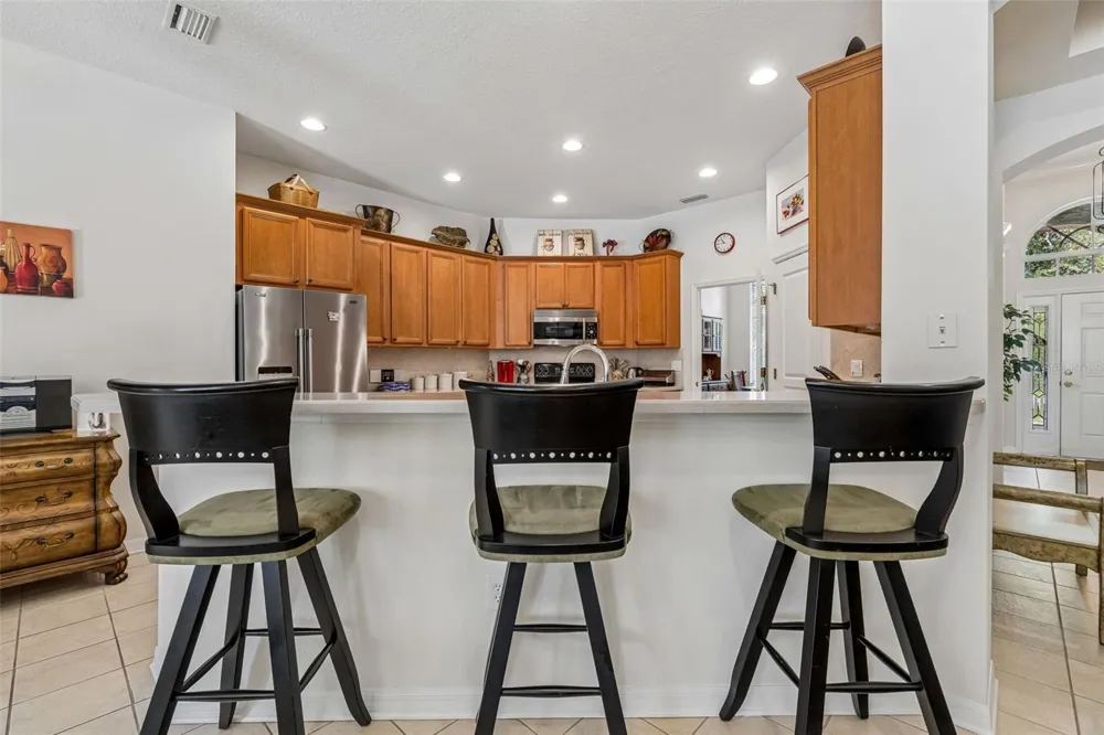 7308 AMBLESIDE DRIVE Land O Lakes, FL 34637