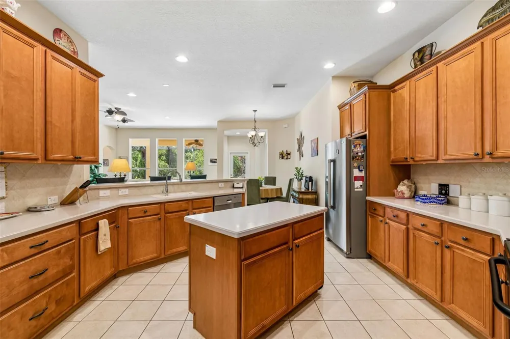 7308 AMBLESIDE DRIVE Land O Lakes, FL 34637