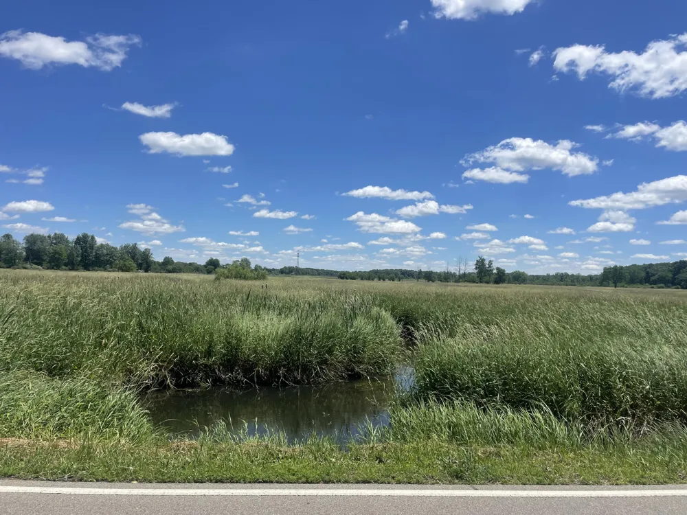 Browns Lake Road Jackson, MI 49203