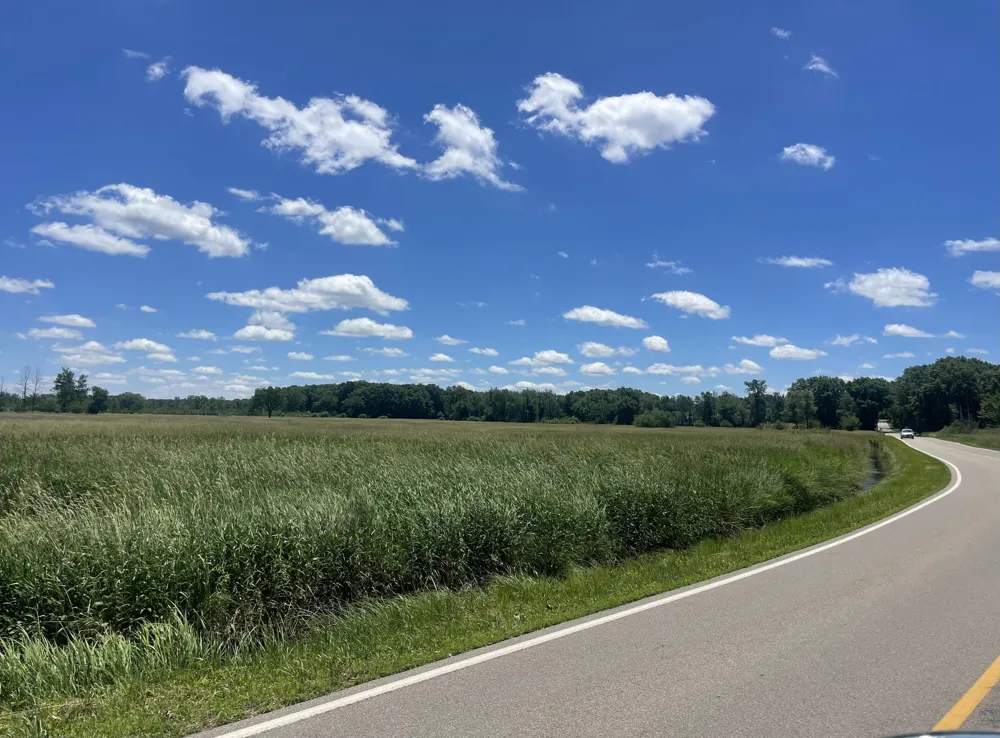 Browns Lake Road Jackson, MI 49203