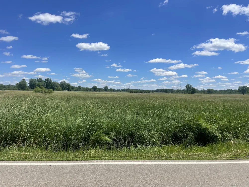 Browns Lake Road Jackson, MI 49203