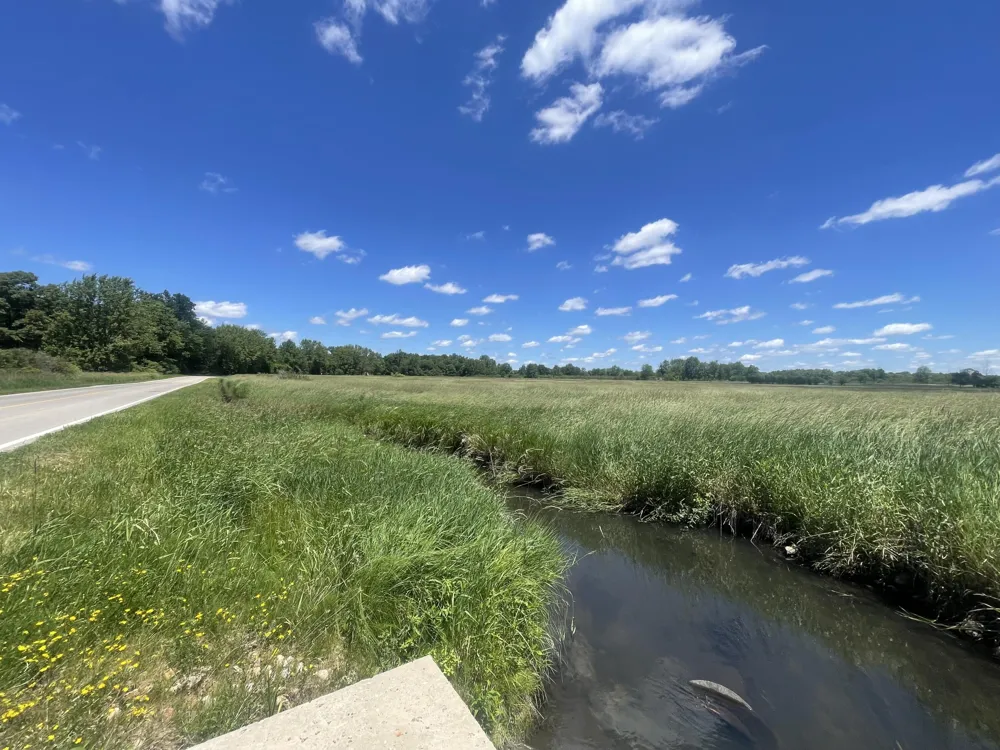 Browns Lake Road Jackson, MI 49203