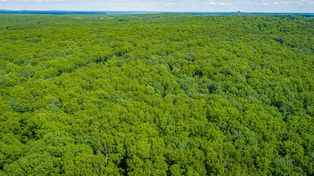0 Deep Woods Road Sewanee, TN 37375