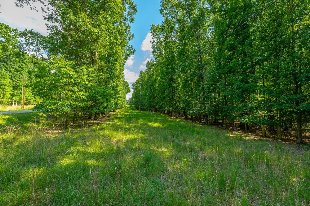 0 Deep Woods Road Sewanee, TN 37375