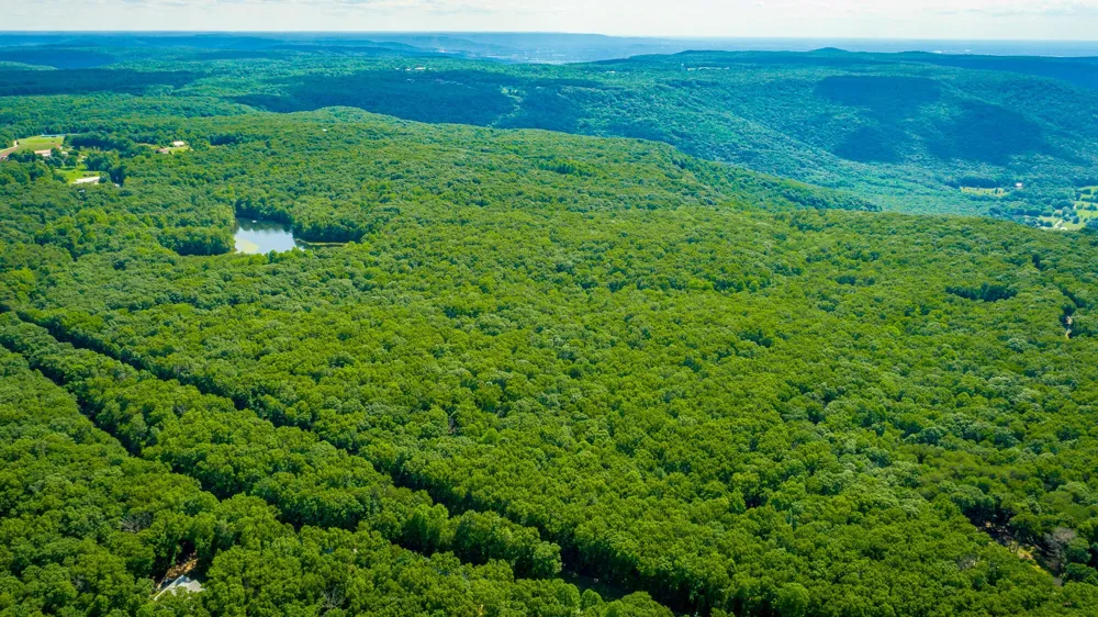 0 Deep Woods Road Sewanee, TN 37375
