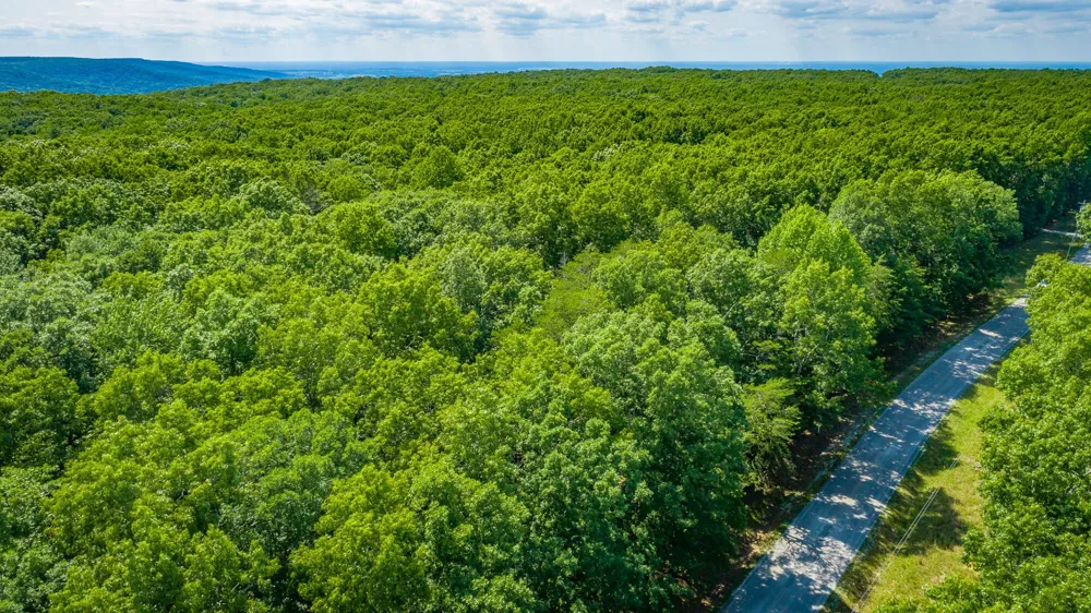 0 Deep Woods Road Sewanee, TN 37375