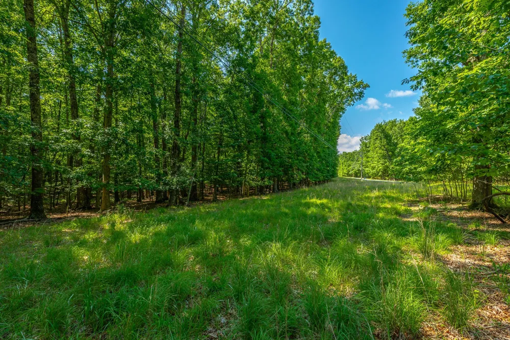 0 Deep Woods Road Sewanee, TN 37375