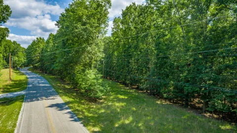 Deep Woods Road