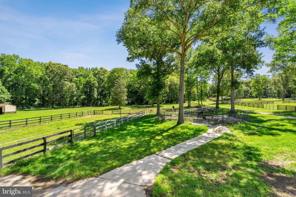99 E LEWIS SHORE ROAD Elkton, MD 21921