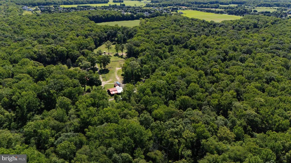 99 E LEWIS SHORE ROAD Elkton, MD 21921