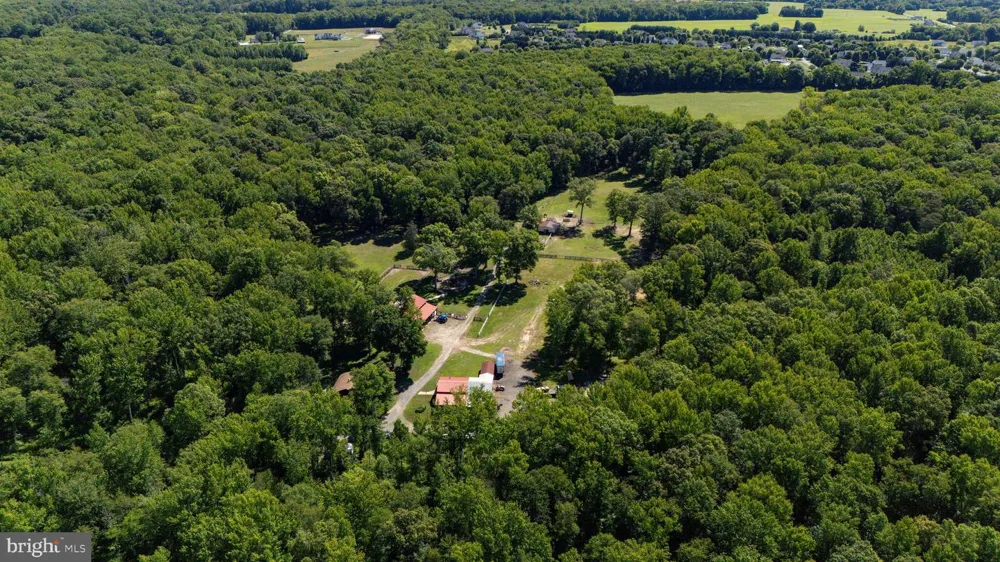 99 E LEWIS SHORE ROAD Elkton, MD 21921
