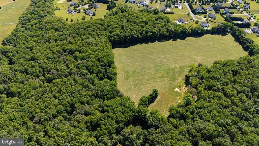 99 E LEWIS SHORE ROAD Elkton, MD 21921