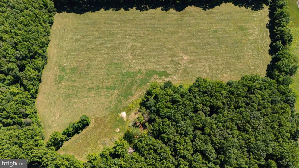 99 E LEWIS SHORE ROAD Elkton, MD 21921