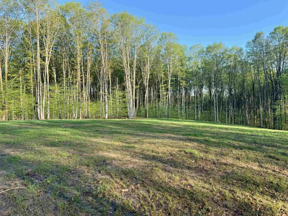 1 S Bright Road Kasson Township, MI 49664