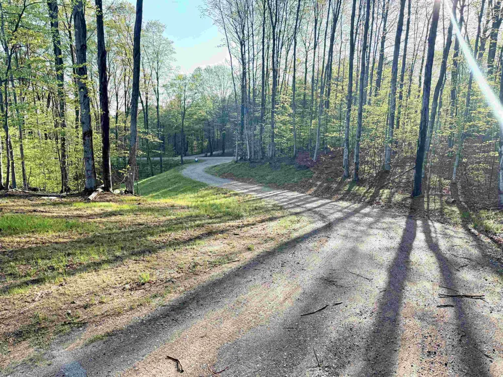 1 S Bright Road Kasson Township, MI 49664