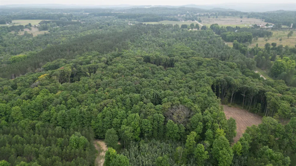 1 S Bright Road Kasson Township, MI 49664