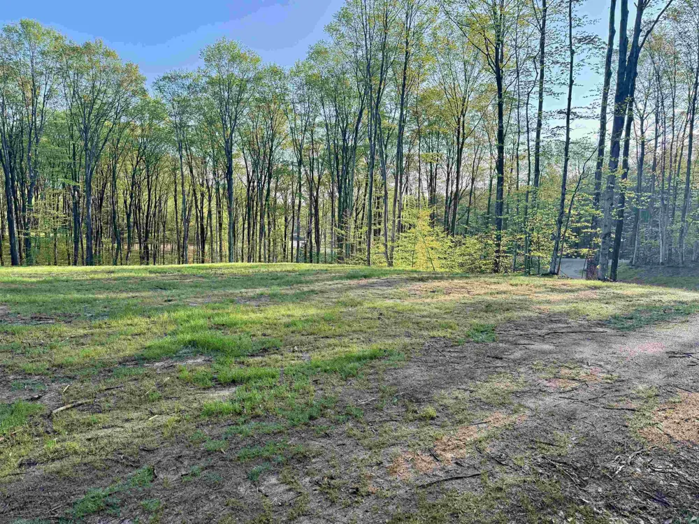 1 S Bright Road Kasson Township, MI 49664