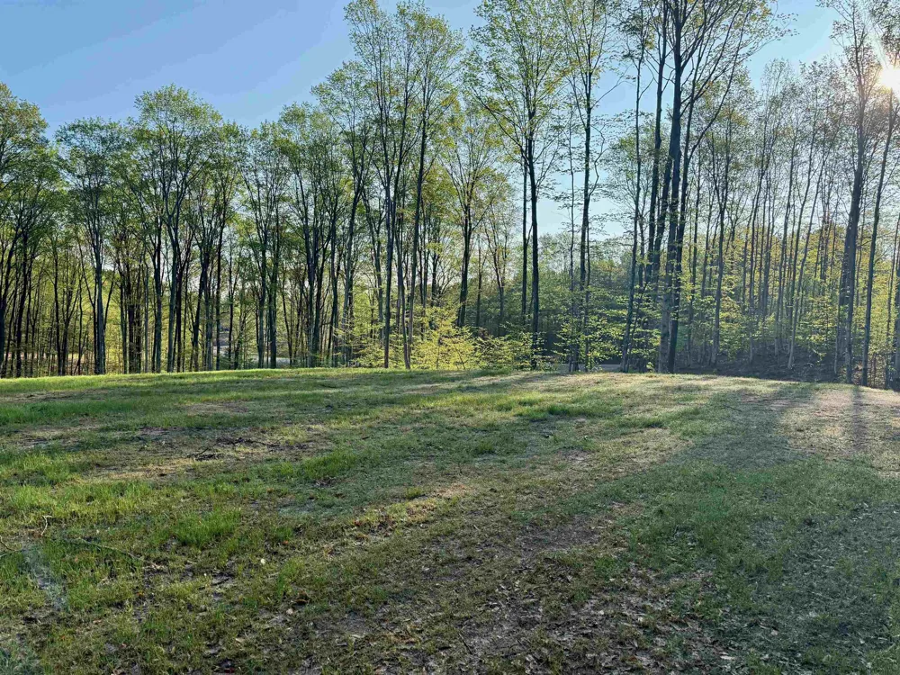 1 S Bright Road Kasson Township, MI 49664