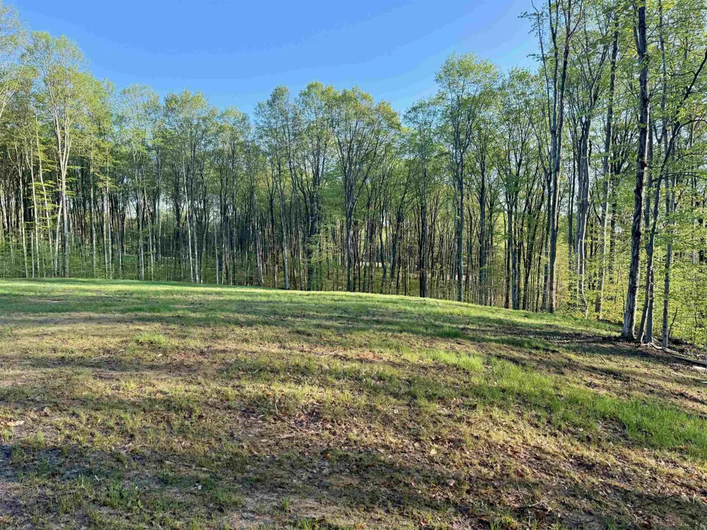 1 S Bright Road Kasson Township, MI 49664