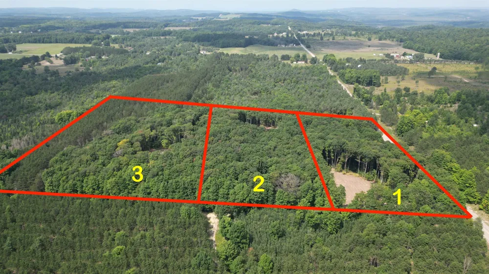 1 S Bright Road Kasson Township, MI 49664