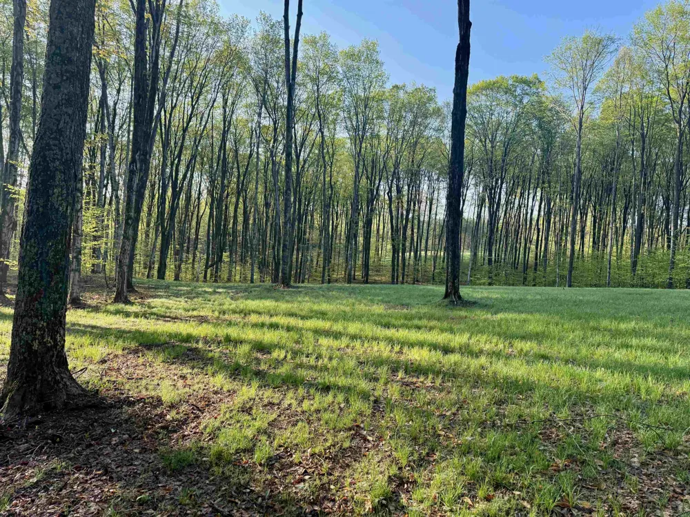 2 S Bright Road Kasson Township, MI 49664