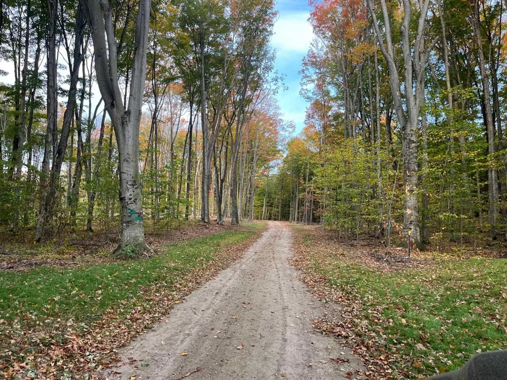 2 S Bright Road Kasson Township, MI 49664