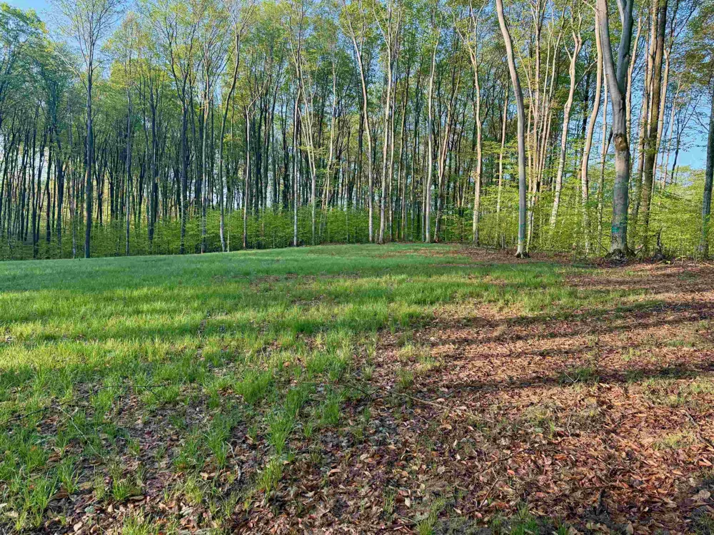 2 S Bright Road Kasson Township, MI 49664