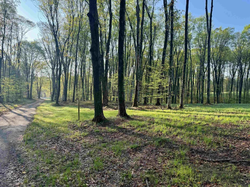 2 S Bright Road Kasson Township, MI 49664